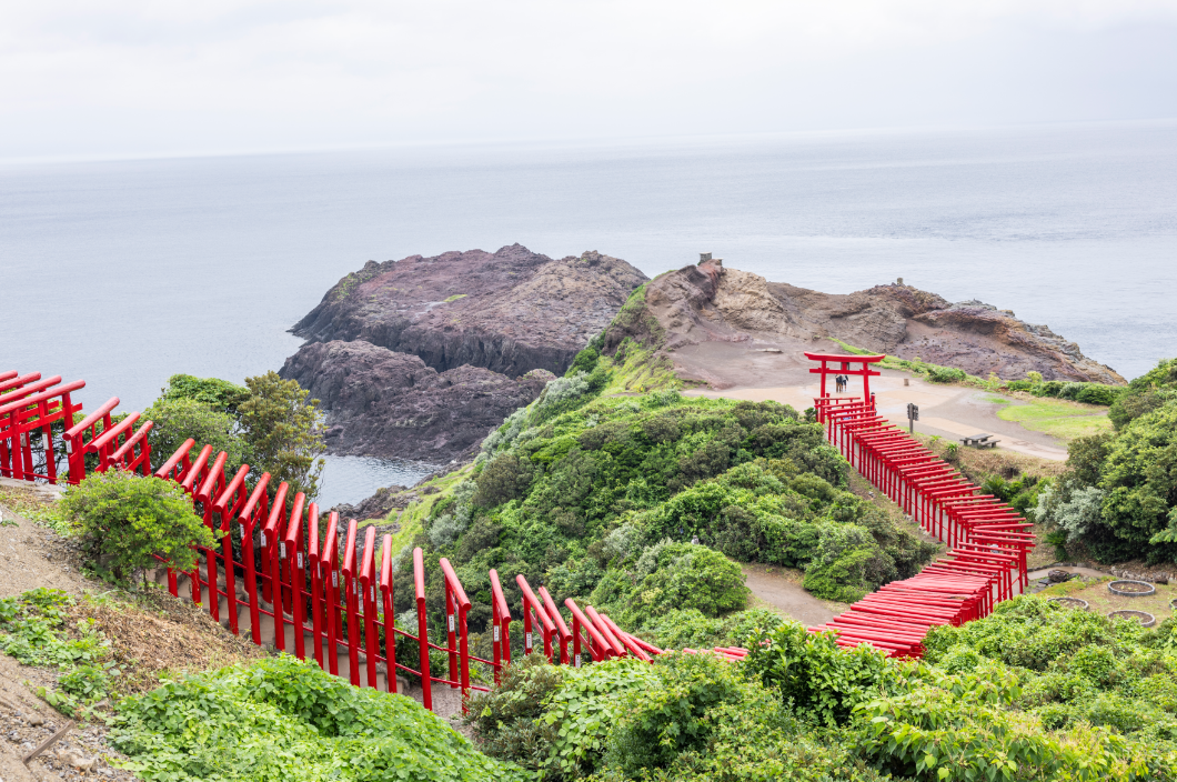 屏幕截图 2025-07-31 113619.png