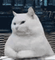 1537433666738870.gif IMG_6412.GIF