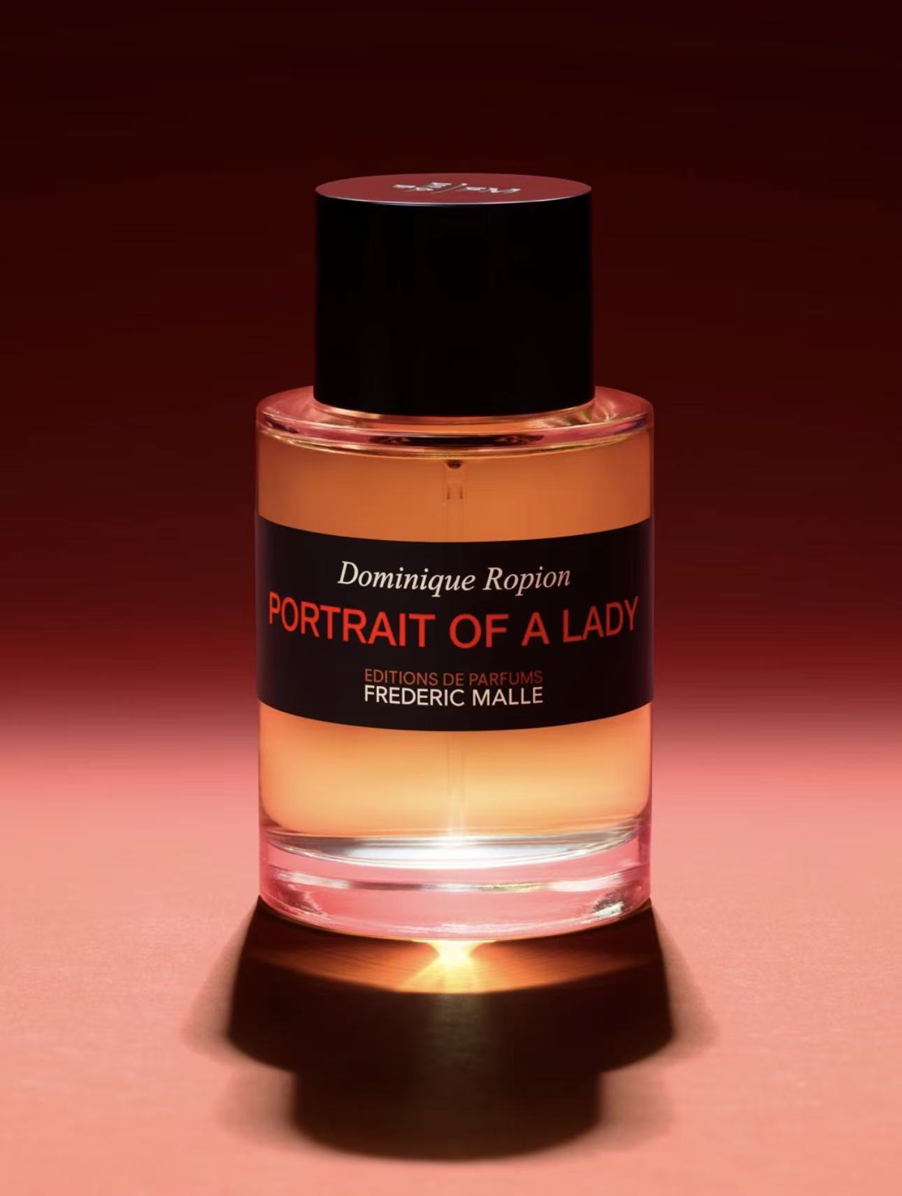 Portrait of a Lady 肖像.jpg