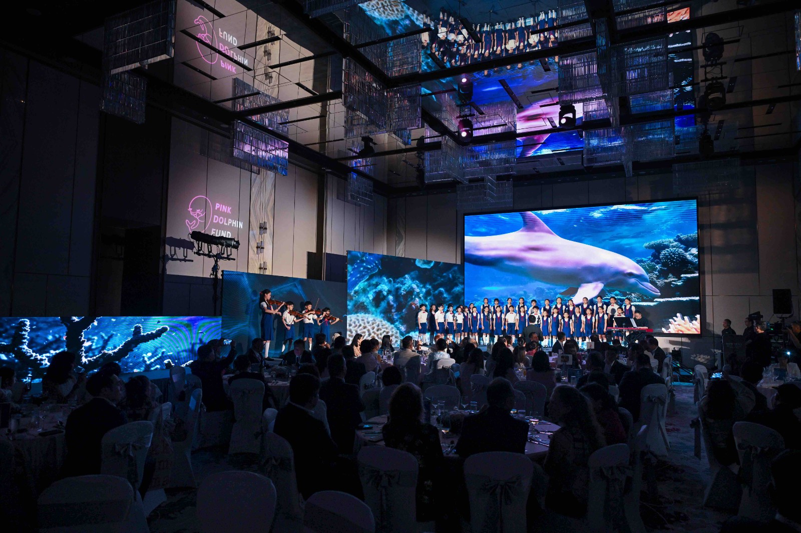 1775029918263678.jpg Pink Dolphin Award 1.jpg