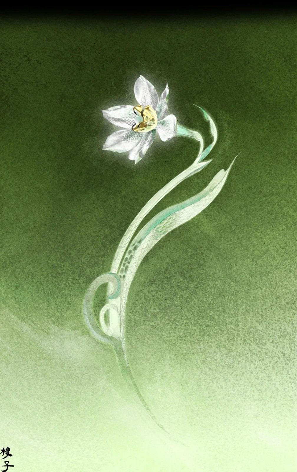 蛇水仙_1_梭子Suozi_来自小红书网页版.jpg