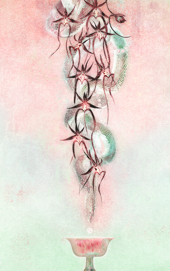 1781579095337453.png 《鬼兰》.png